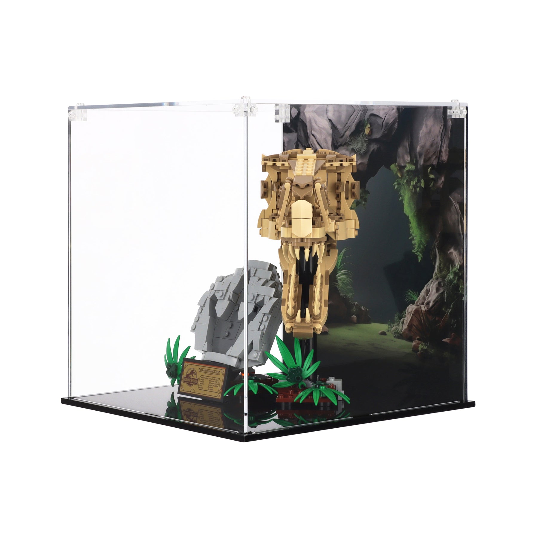 Lego 76964 Dinosaur Fossils: T. rex Skull Display Case