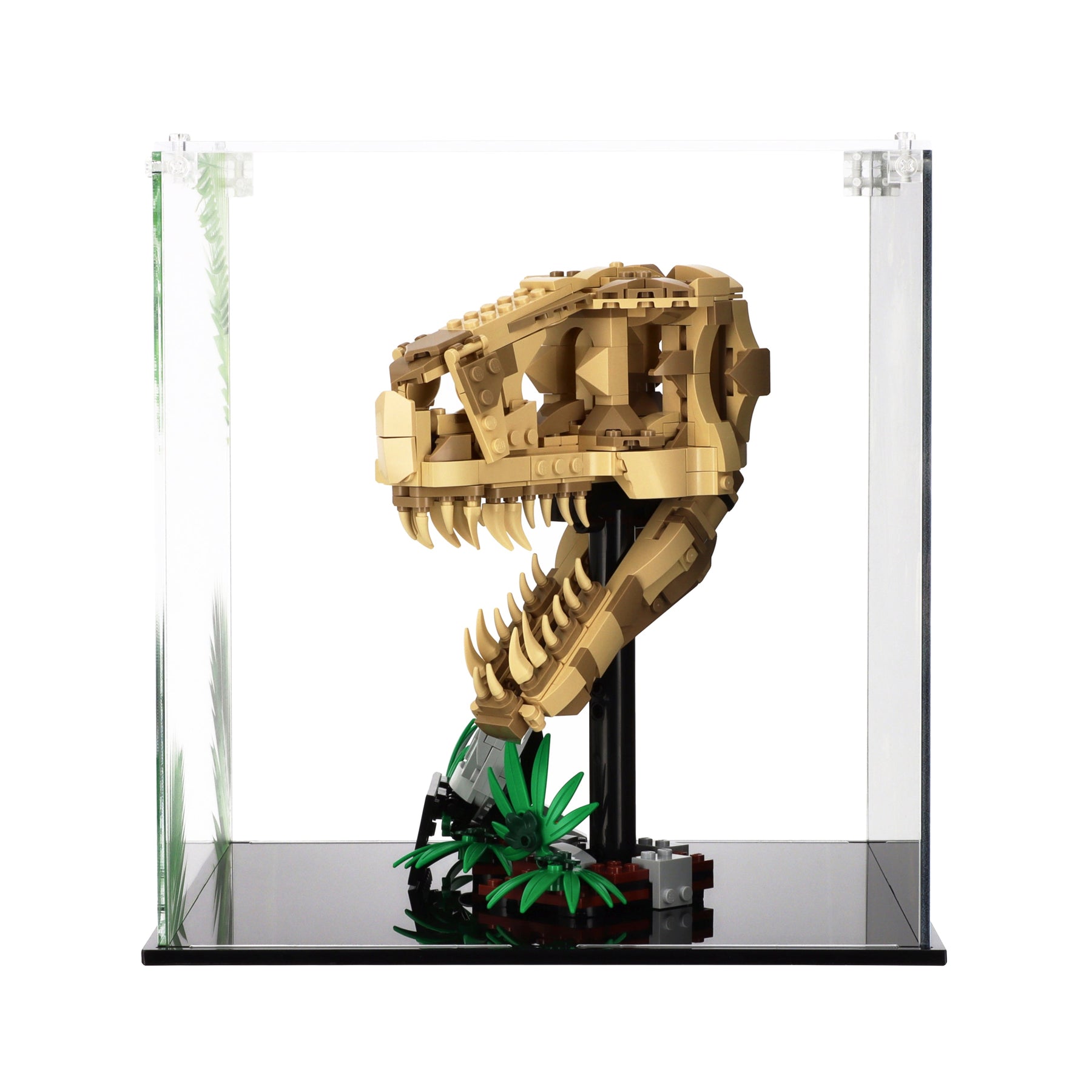 Lego 76964 Dinosaur Fossils: T. rex Skull Display Case