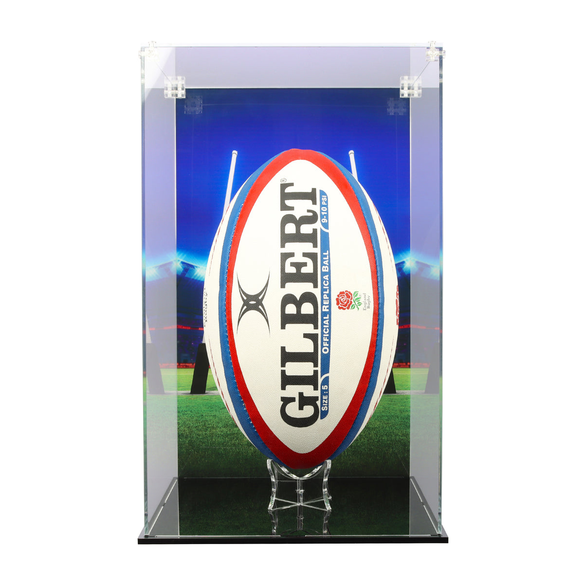 Rugby Display Case