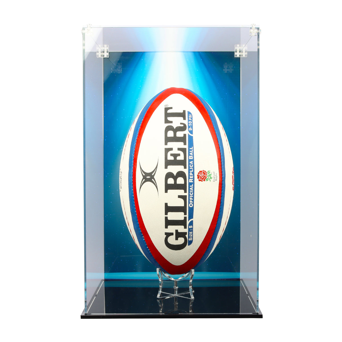 Rugby Display Case