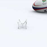 Premium Rugby Display Stand