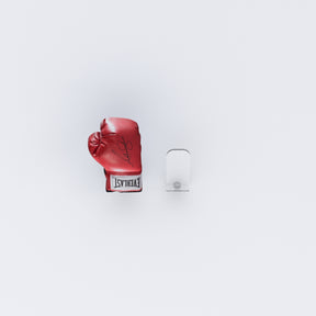 Wall Mounted Boxing Glove Display Holder